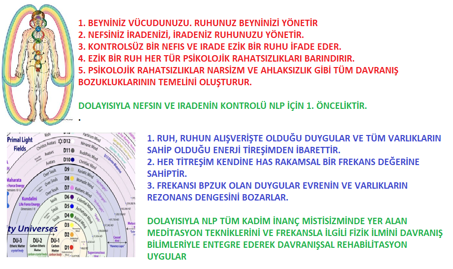 NLP SEBEP SONUÇ